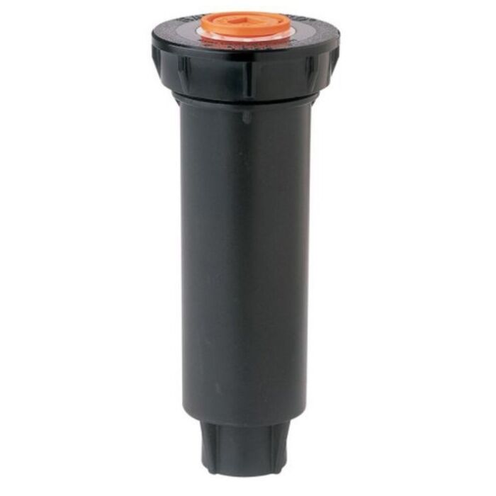 rainbird-1804